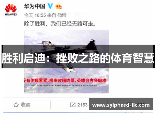 胜利启迪：挫败之路的体育智慧