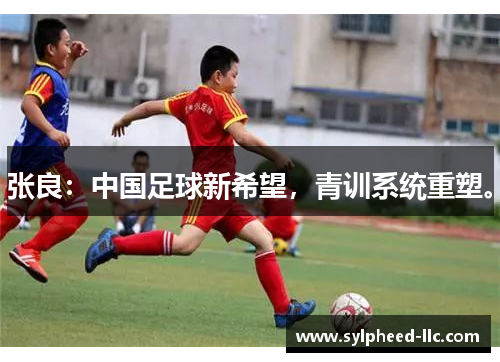 张良：中国足球新希望，青训系统重塑。